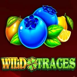 Wild Traces slot logo by Amusnet Interactive at Spinanga Casino